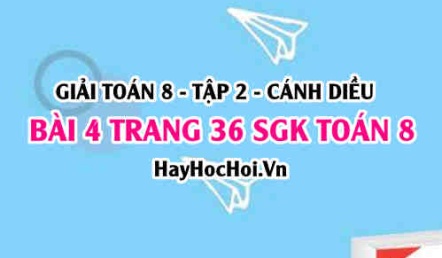 Bài 4 trang 36 Toán 8 Tập 2 Cánh Diều